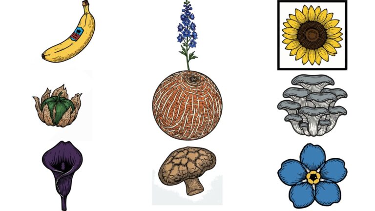 리노컷 AI 일러스트 벡터 이미지 무료 다운로드 | 스티커 붙은 바나나