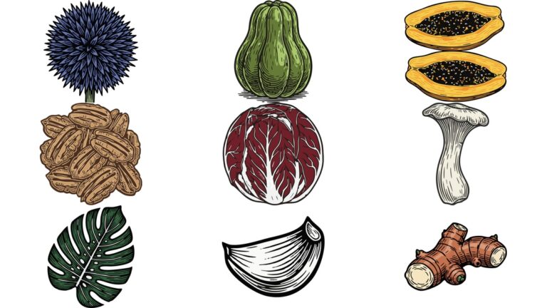 리노컷 AI 일러스트 벡터 이미지 무료 다운로드 | 절굿대 꽃