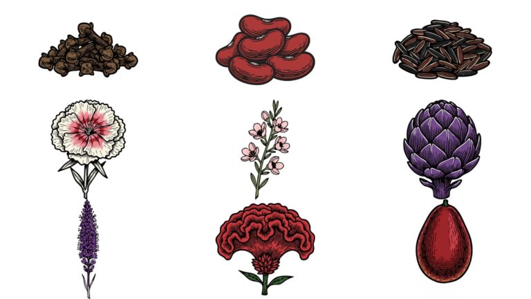 리노컷 AI 일러스트 벡터 이미지 무료 다운로드 | 정향 한 줌