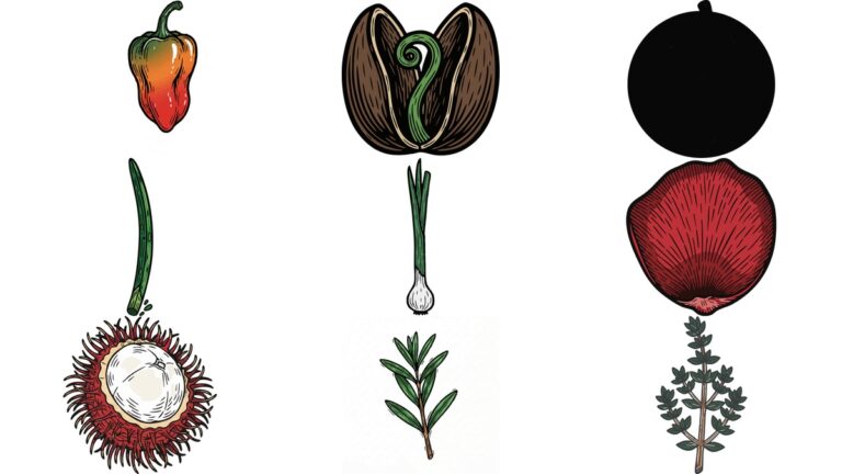 리노컷 AI 일러스트 벡터 이미지 무료 다운로드 | 익어가는 하바네로