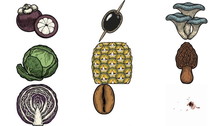 리노컷 AI 일러스트 벡터 이미지 무료 다운로드 | 망고스틴과 반쪽